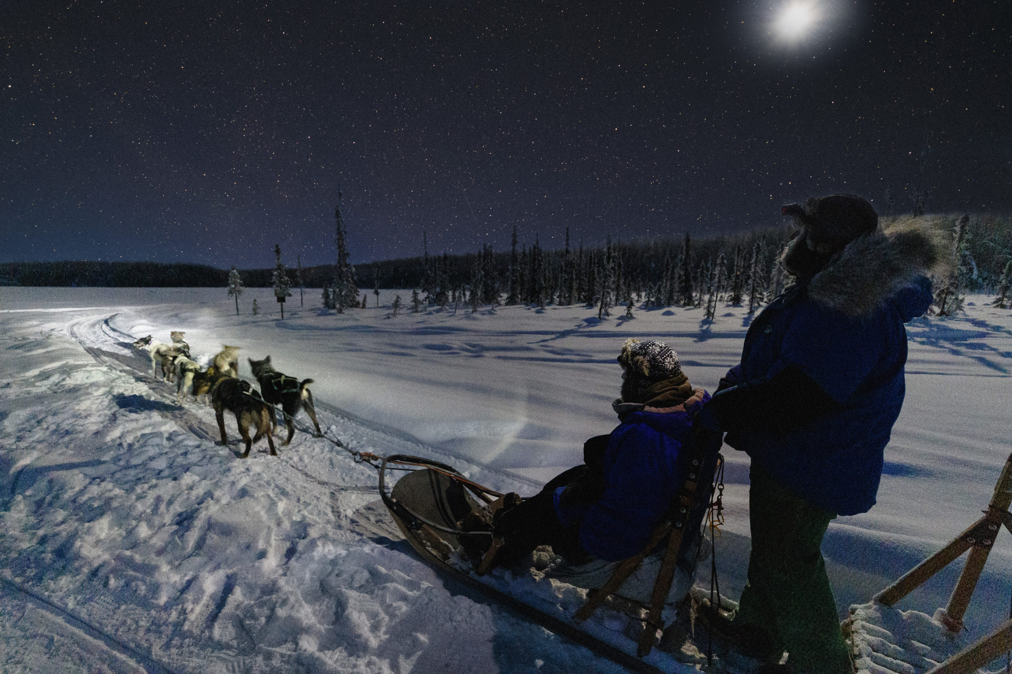 Night Dog Sledding Alaska Mushing School